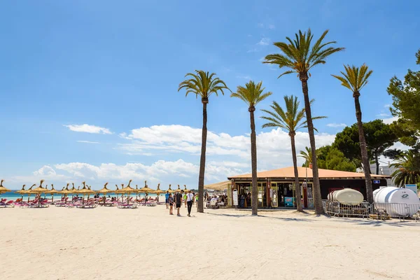 Mallorca, Spain - May 11, 2019: Pam trees at the Playa de Alcudia beach in Mallorca, Spain — Stock Photo, Image
