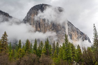 Bulutlu bir günde Yosemite Ulusal Parkı'nda El Capitan büyük kaya, Kaliforniya, Amerika Birleşik Devletleri