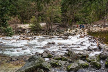 nehir yosemite Milli Parkı, Kaliforniya, ABD