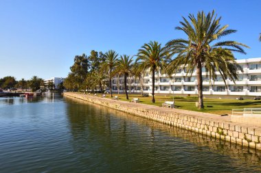 Mallorca Alcudia kentinde bir kanal boyunca büyüyen palmiye ağaçları