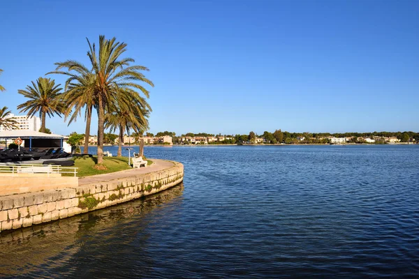 Palm trees growing on the shore of the Lake Es Llac Gran in the city of Alcudia in Mallorca, Spain — Stock Photo, Image