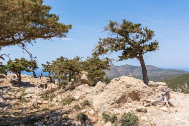 Rodos adasının batı yakasında vahşi bitki örtüsü olan kayalık sahil. Yunanistan