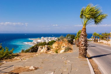 Rodos adasında kıyı şeridinde palmiye ağaçları yetişiyor. Yunanistan