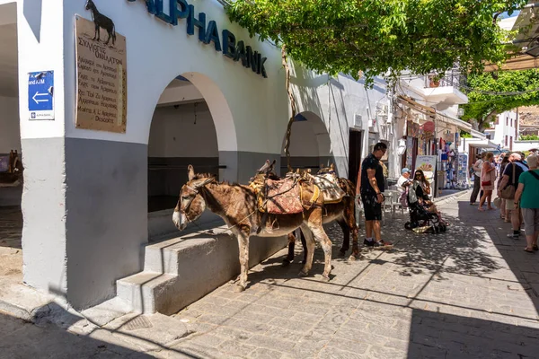 RHODES, GREECE - 14 Mayıs 2018: Lindos şehrinde sokakta eşek taksisi. Rodos, Yunanistan