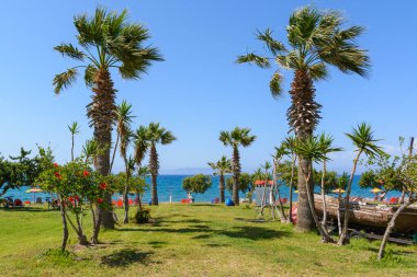 RHODES, GREECE - 16 Mayıs 2018: Rhodes Adası 'nın deniz kıyısında palmiye ağaçları. Yunanistan