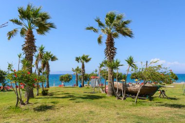 RHODES, GREECE - 16 Mayıs 2018: Rhodes Adası 'nın deniz kıyısında palmiye ağaçları. Yunanistan