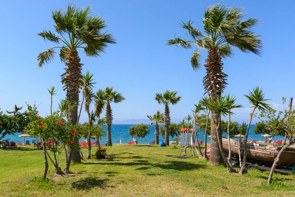 Rhodes Greece May 2018 Palm Trees Seashore Rhodes Island Greece — Stock Photo, Image