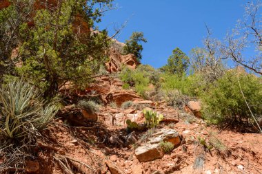 Utah 'ın güneybatısındaki Zion Ulusal Parkı' nın güzel manzarası..