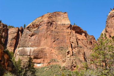 Utah 'ın güneybatısındaki Zion Ulusal Parkı' nın güzel manzarası..