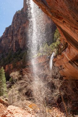 Zion Ulusal Parkı 'ndaki şelale ABD' nin güneybatısında Utah 'da yer almaktadır..