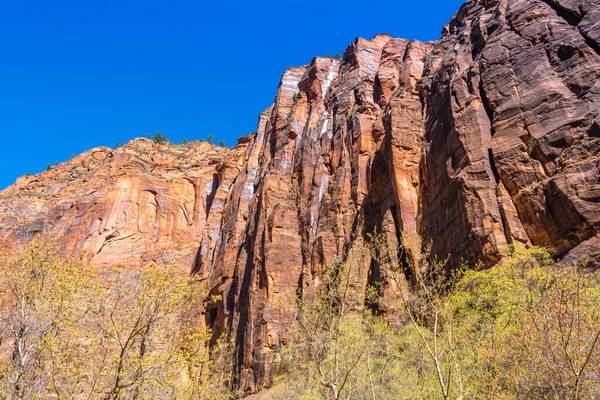 Beaux Paysages Dans Parc National Zion Situé Aux États Unis — Photo