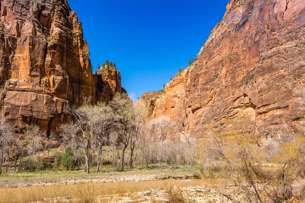 Schöne Landschaft Zion Nationalpark Den Usa Südwesten Von Utah — Stockfoto