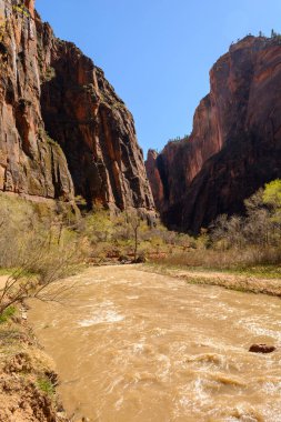 Utah 'ın güneybatısındaki Zion Ulusal Parkı' nın güzel manzarası..