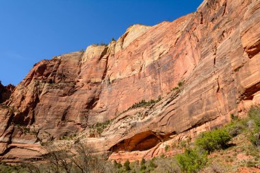 Utah 'ın güneybatısındaki Zion Ulusal Parkı' nın güzel manzarası..