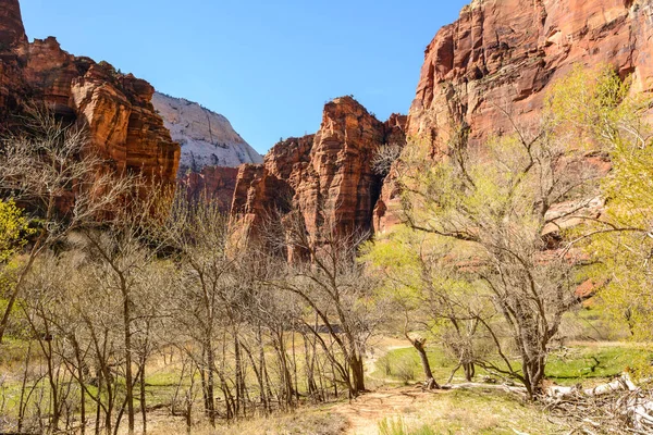 Beautiful Scenery Zion National Park Located Usa Southwestern Utah — Stock Photo, Image