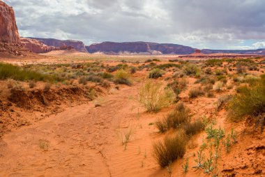 Arizona, ABD 'deki Monument Valley' de kızıl kumlu çöl.