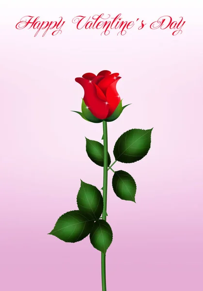 Illustrazione Bella Rosa Rossa San Valentino — Foto Stock