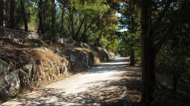 Split, Hırvatistan için sakin park manzaralı yolu