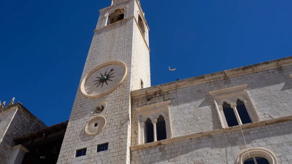 Tour Horloge Dubrovnik Avec Colombe — Photo