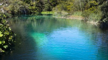 Derin mavi göller Hırvatistan Plitvice Milli Parkı