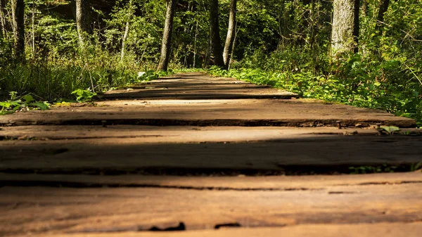 Wooden Path Throuth Hutan Indah Plitvice Taman Nasional — Stok Foto