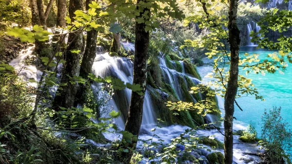 Waterfall Lake Colorful Plitvice National Park Croatia — Stock Photo, Image