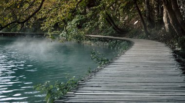 Boş ve yalnız yolunu yanında sisli ve puslu su Plitvice Gölleri Milli Parkı içinde Hırvatistan Şafak