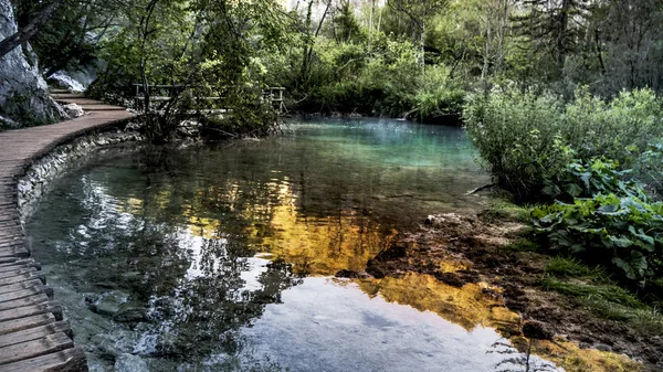 Empty Lonely Path Next Turquoise Water Plitvice Lakes National Park — Stock Photo, Image