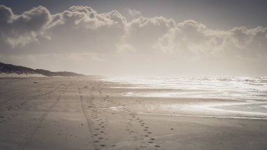 Kuzey Danimarka'da Plajda Güneşli Gün