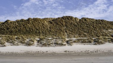 Kuzey Danimarka'da Plajda Güneşli Gün