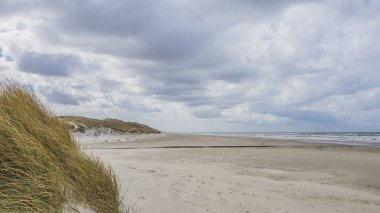 Kuzey Danimarka'da sahilde Rüzgarlı Gün