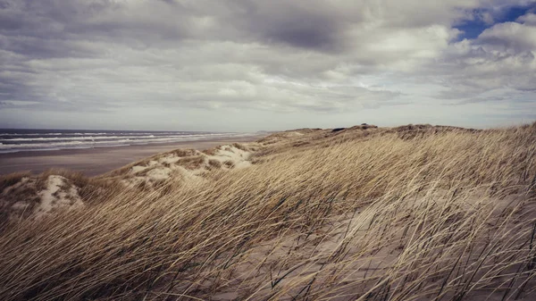 Dia tempestuoso em uma praia dinamarquesa no norte da Dinamarca — Fotografia de Stock