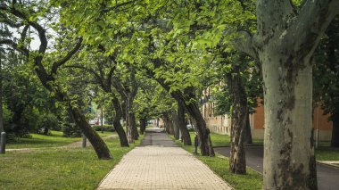 Gyula şehir merkezinde Lonely Sidewalk, Macaristan
