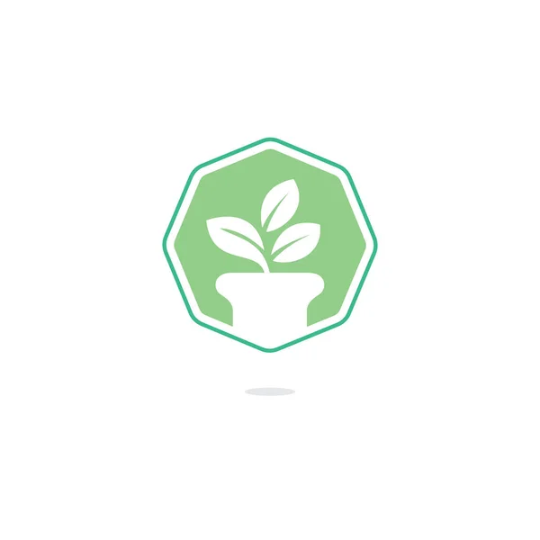 Kwiat Logo Pot Roślin Logo Wektor Wzrost — Wektor stockowy