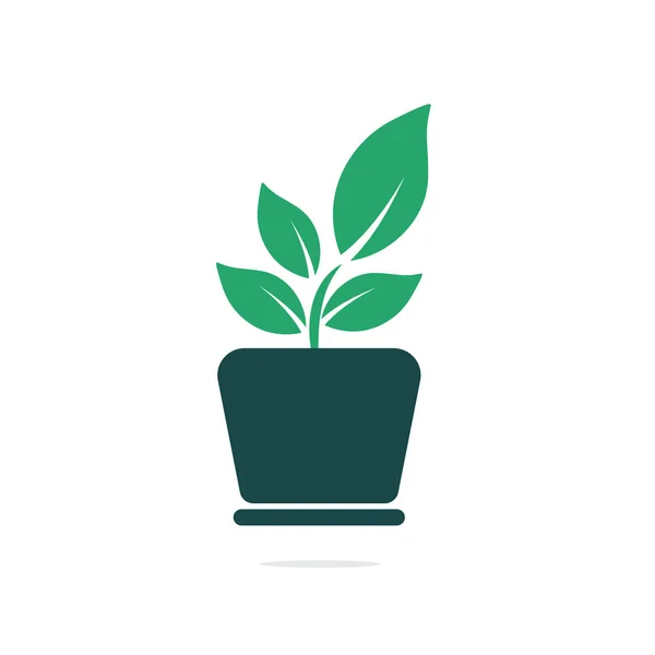 Цветочный Горшок Логотип Растения Логотип Вектора Роста — стоковый вектор