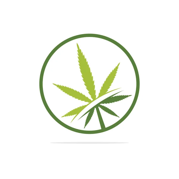 Diseño Del Logotipo Del Vector Hoja Cannabis Plantilla Diseño Logotipo — Vector de stock