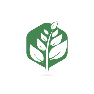 Doğa logo tasarımı. Yeşil tropikal simgesi bırakır. Ağaç bitki örtüsü Logo şablonu.