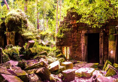 Phnom kultur, Siem Reap, Kamboçya ormandaki Harabeleri