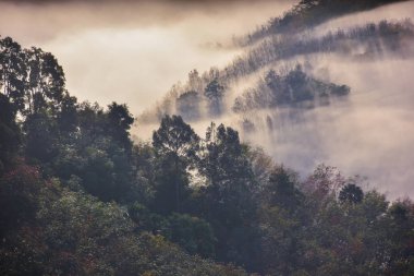 Dağ sis arka plan, Khao yakında benim, Nakhon si thammarat, Thailand