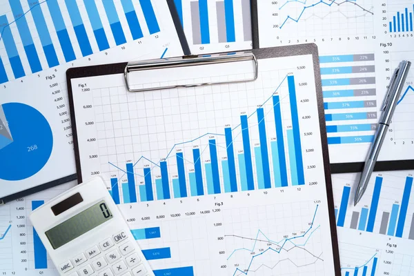 Relatórios Financeiros Análise Recolha Dados Estatísticos Muitos Gráficos Crescimento Azul — Fotografia de Stock