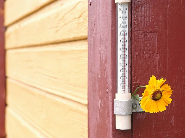 Closeup of a temperature gauge and a flower hanging on the wall