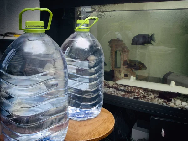 Changing dirty water in home aquarium, two bottles with water in the foreground