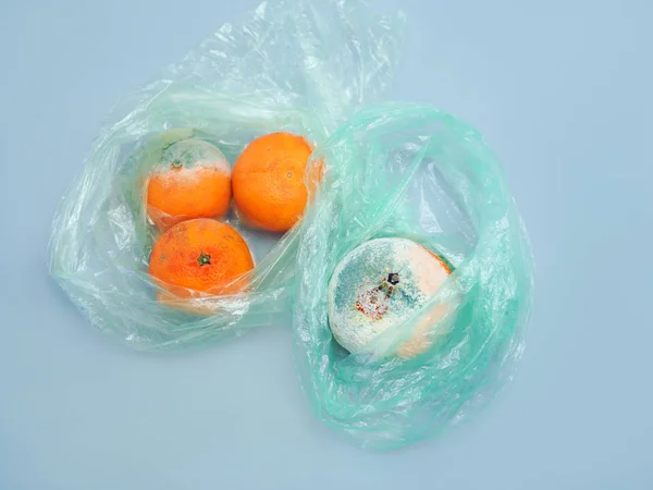 Mold on the out of date tangerines, studio still on blue