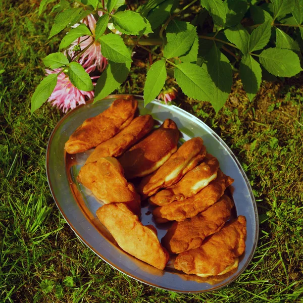 Picnic en un jardín —  Fotos de Stock