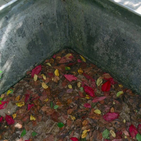 empty swimming pool covered with autumn leaves