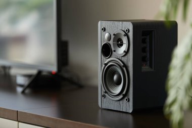 Dijital Tv ve bir Tv Stand koymak tepe kutu ile Bookshelf hoparlör