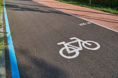 Kore'de bir parkta asfalt üzerinde boyalı salt bisiklet yol işareti.
