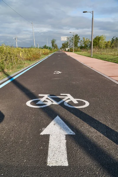 Bicycle-only road mark and arrow painted on a asphalt road in a park in Korea.