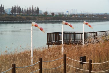 Yönü ve rüzgar hızını kontrol etmek için Rüzgar gülü.