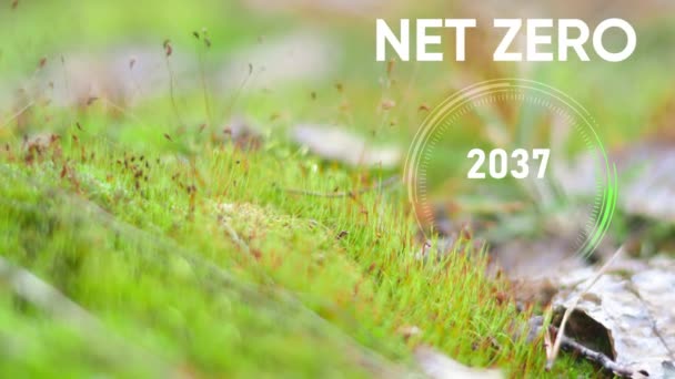 Net Zero Emissions Entro 2050 Policy Animation Concept Cruscotto Digitale — Video Stock